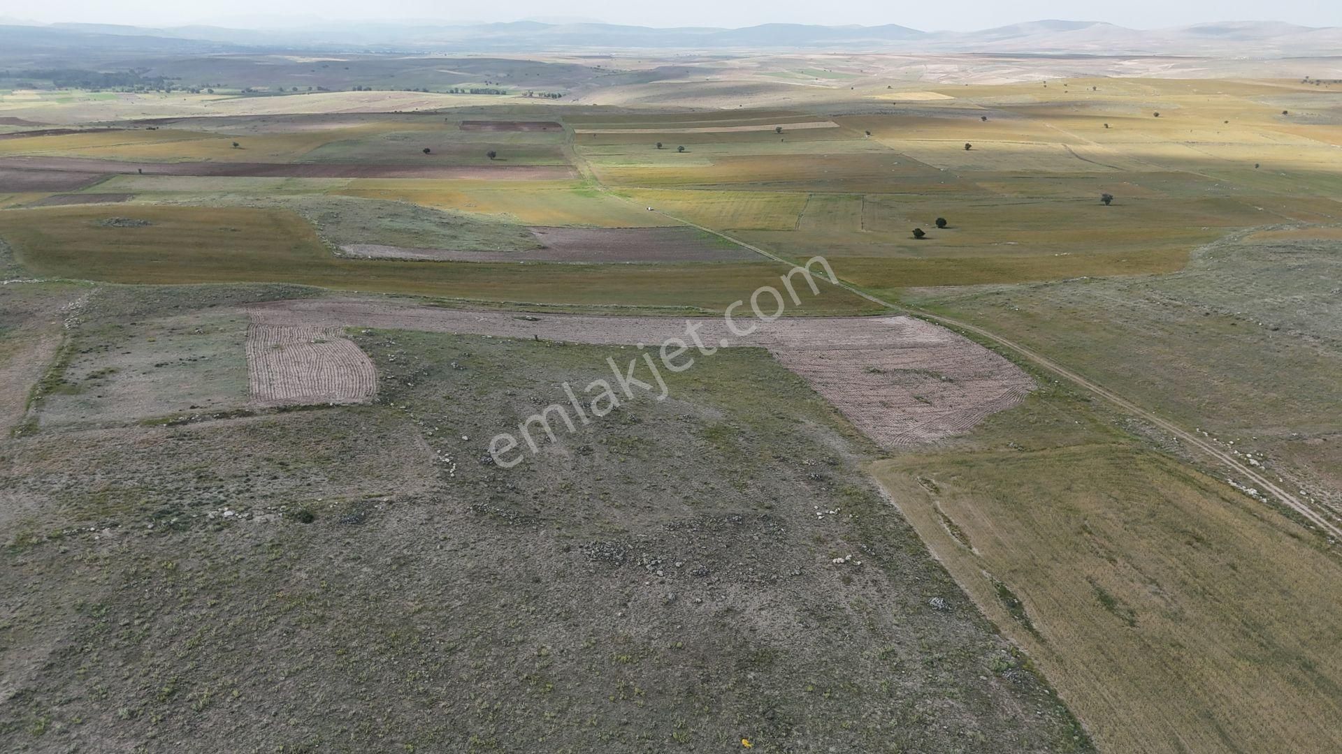 Konya / Akören / Orhaniye Mahallesinde 10.253 M² Müstakil Tapulu Tarla - Görsel 3
