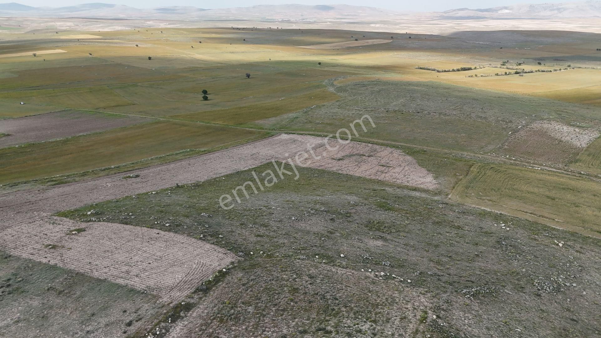 Konya / Akören / Orhaniye Mahallesinde 10.253 M² Müstakil Tapulu Tarla - Görsel 6