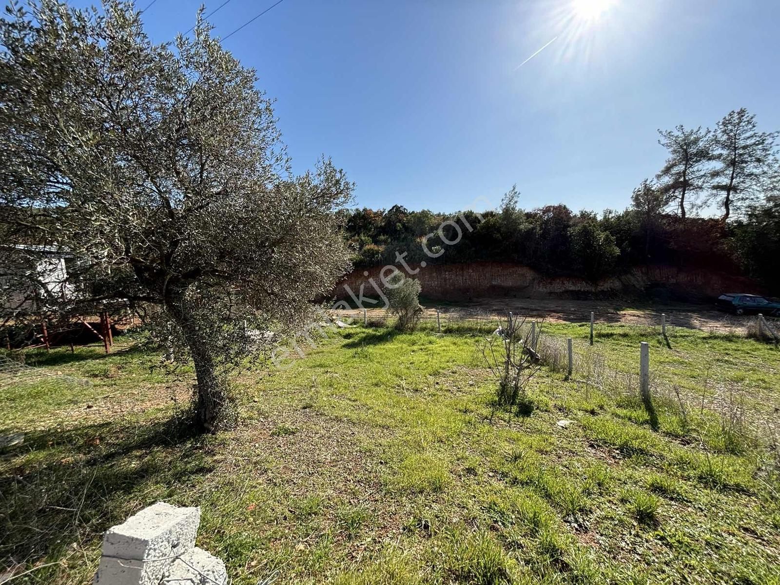 Ayrancılar'da Satılık 240 M2 Tarla Elektrik Su Aktif