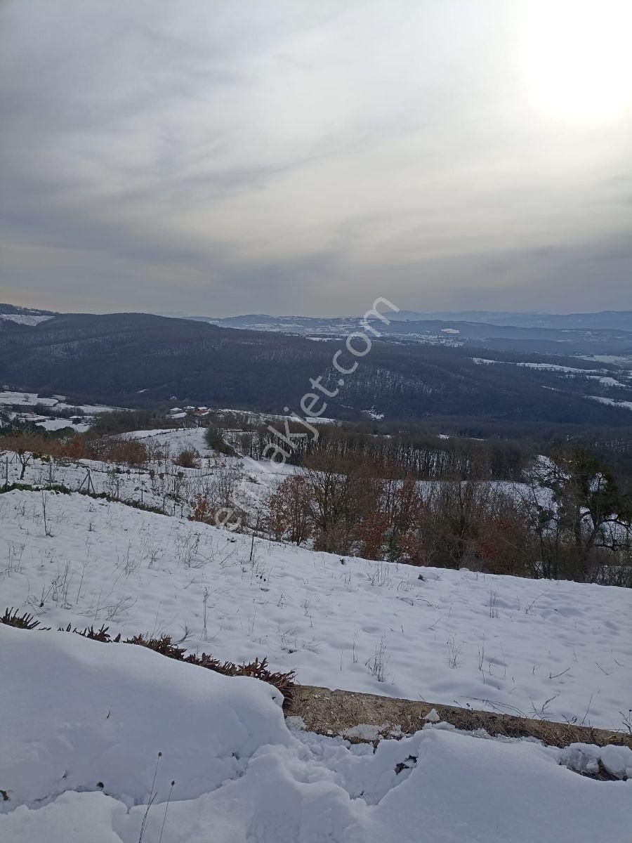 İzmit'e 20 Dakika, 4 Dönüm Bahçeli, Manzaralı Müstakil Yaşam - Görsel 9