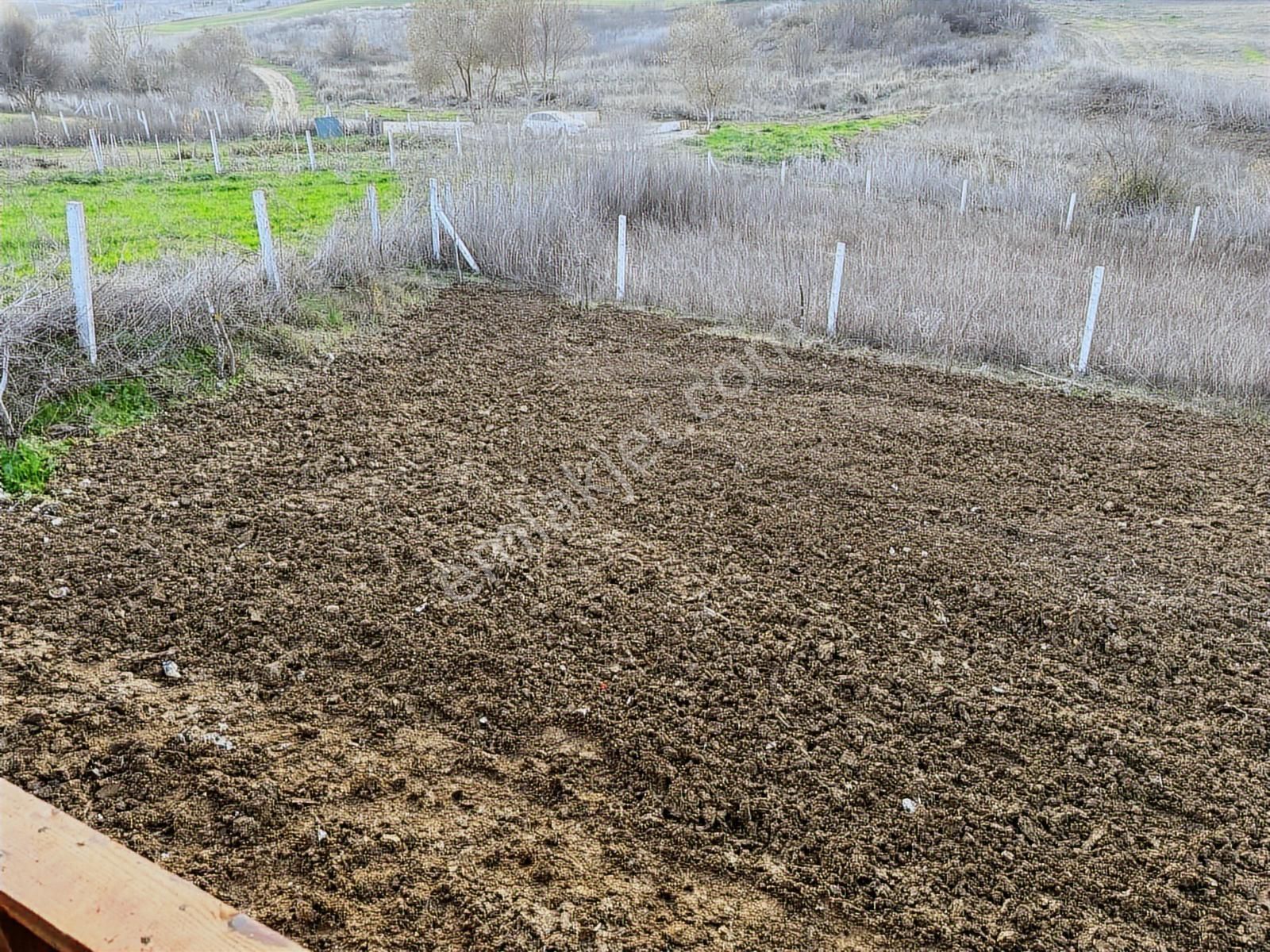 Akörende 430 M2 İçinde Hazır Kurulu Bahçe - Görsel 19