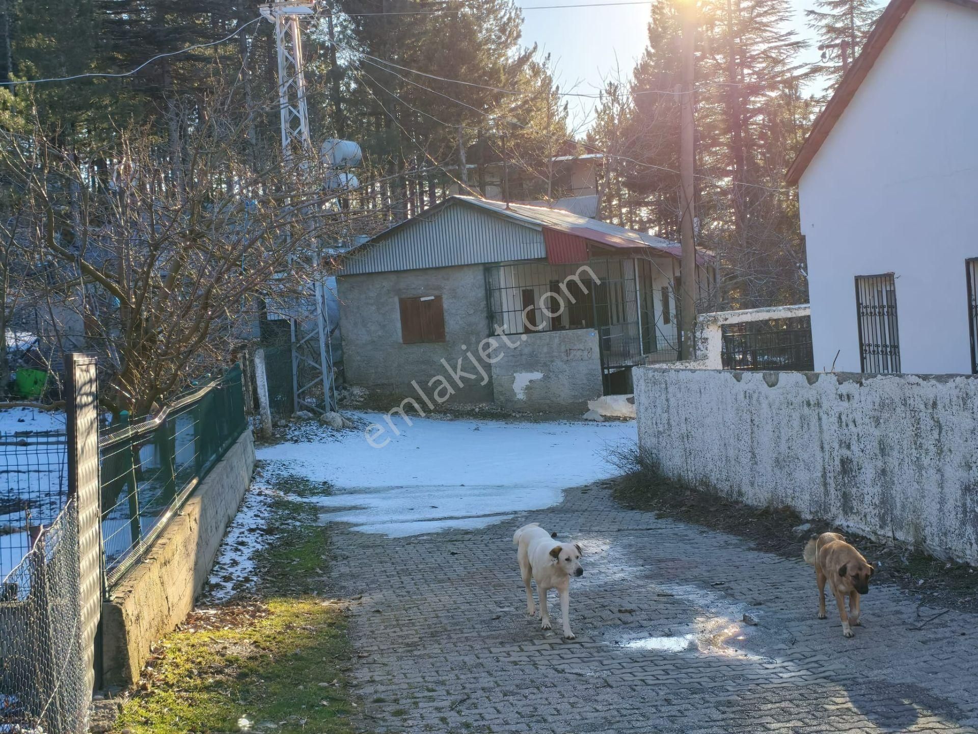 Kar Emlaktan Akçatekir Üçolukta 290 M2 Çevre Duvarı Yapılmış Satılık Arsa - Görsel 4