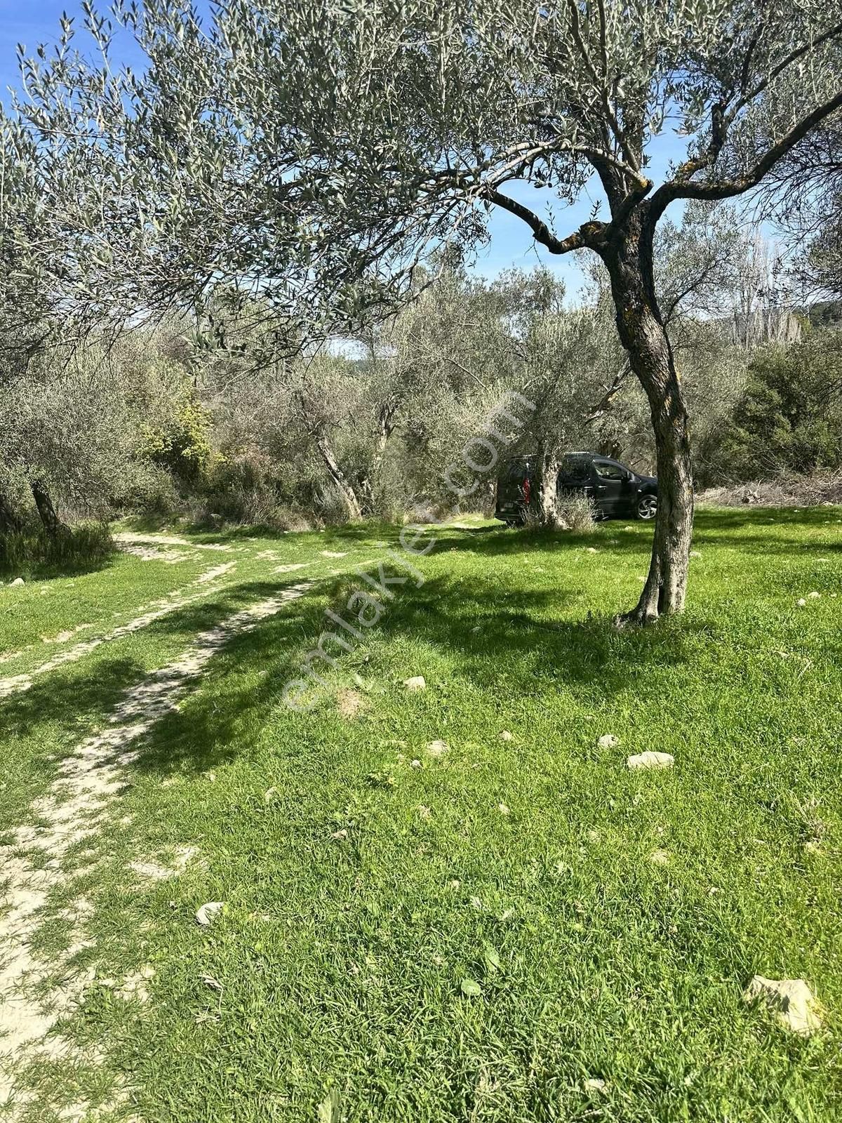 Satılık Bahçe