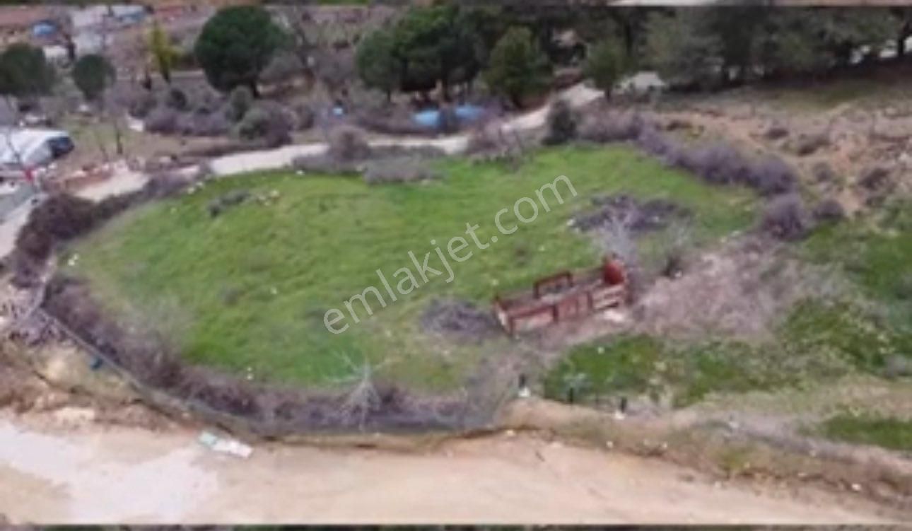 Bergama İncecikler’de Köy İmarı İçinde, Yolu Olan Satılık Tarla - Görsel 3