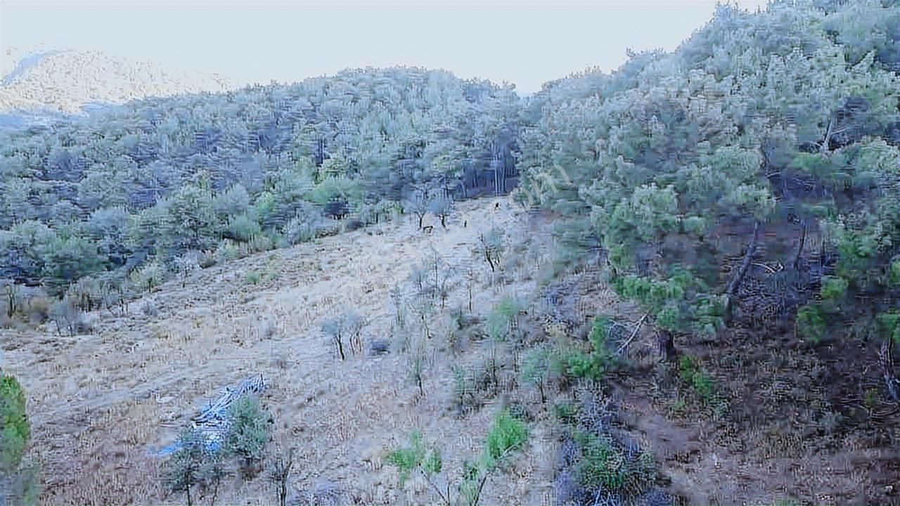 Bergamada Satılık Tarla - Görsel 9