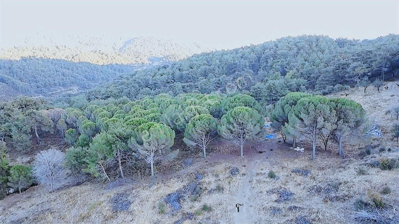 Bergamada Satılık Tarla - Görsel 3