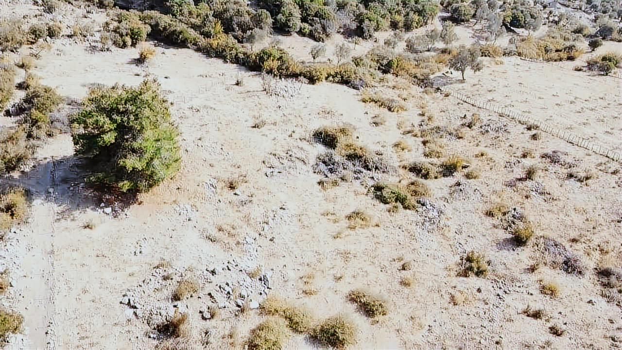 Bergama İncecikler Mhalesinde Satılık Tarla - Görsel 10