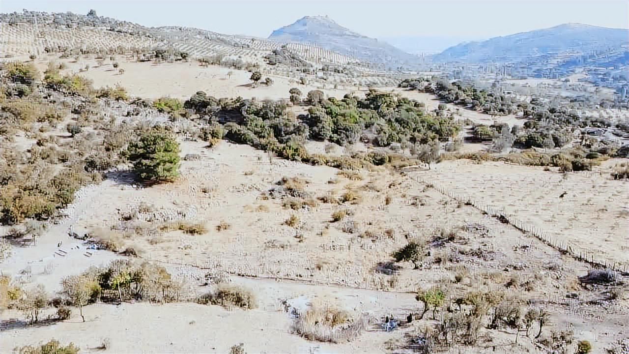 Bergama İncecikler Mhalesinde Satılık Tarla - Görsel 8