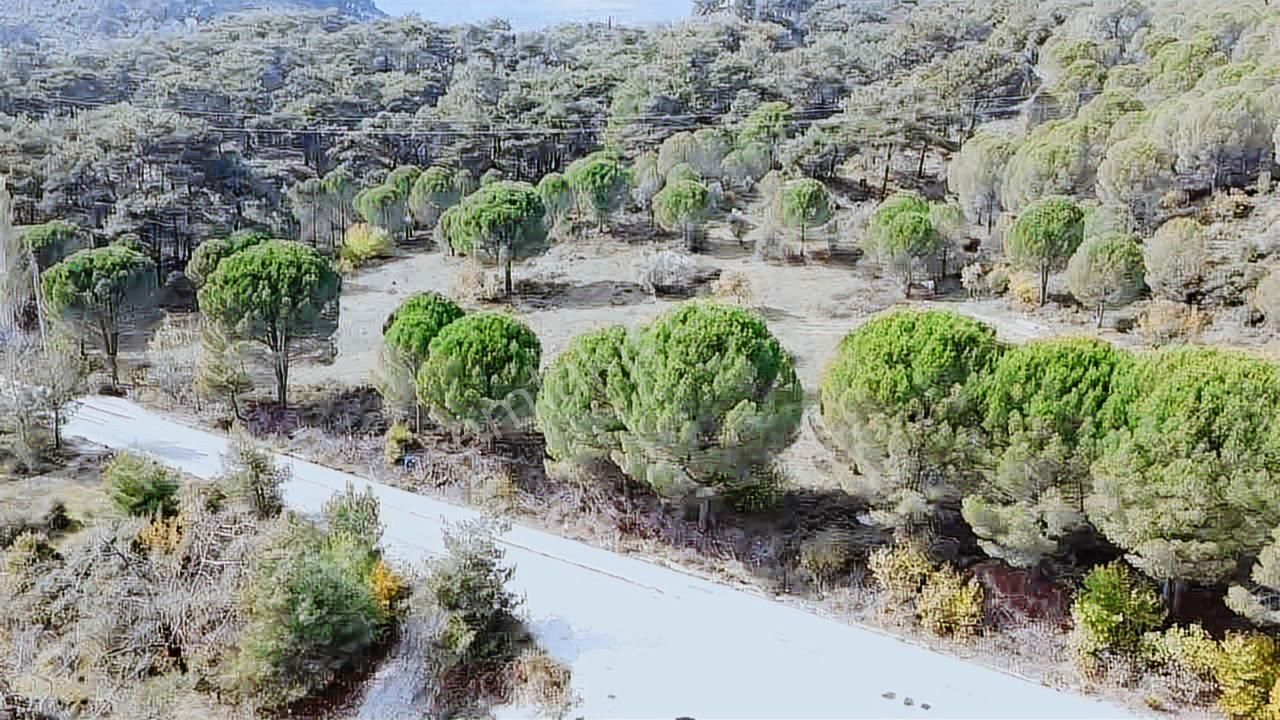 Satılık Arsa Bergama İncecikler - Görsel 27