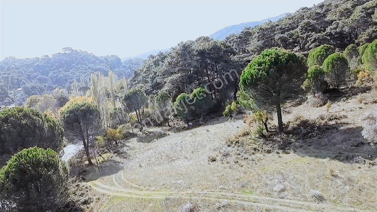Satılık Arsa Bergama İncecikler - Görsel 15