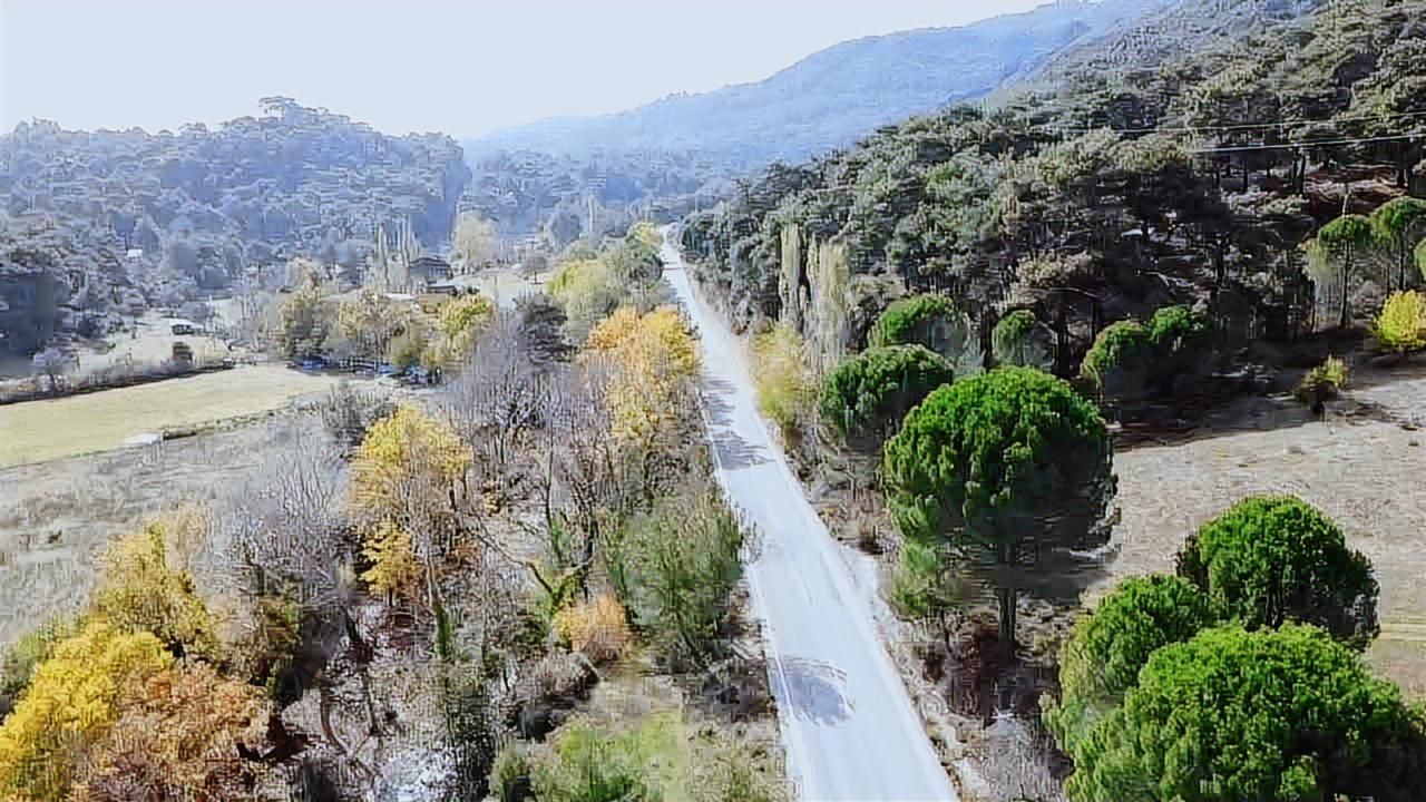 Satılık Arsa Bergama İncecikler - Görsel 2