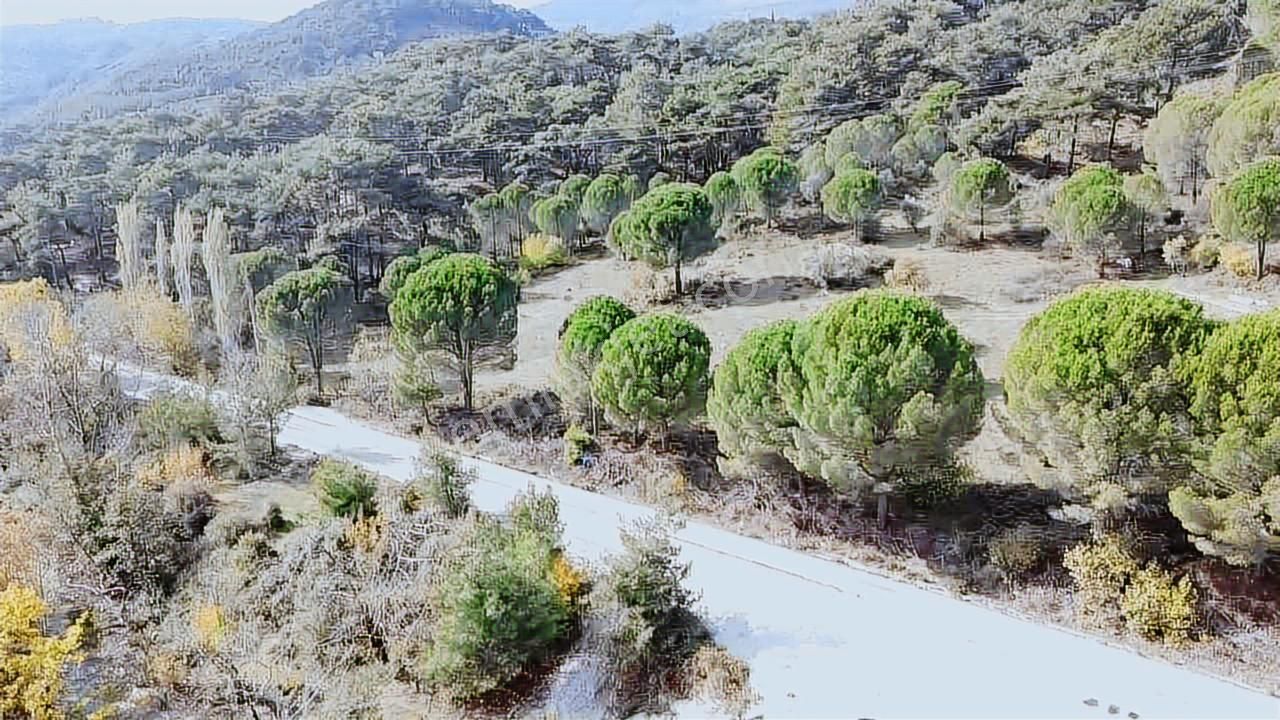 Satılık Arsa Bergama İncecikler - Görsel 13