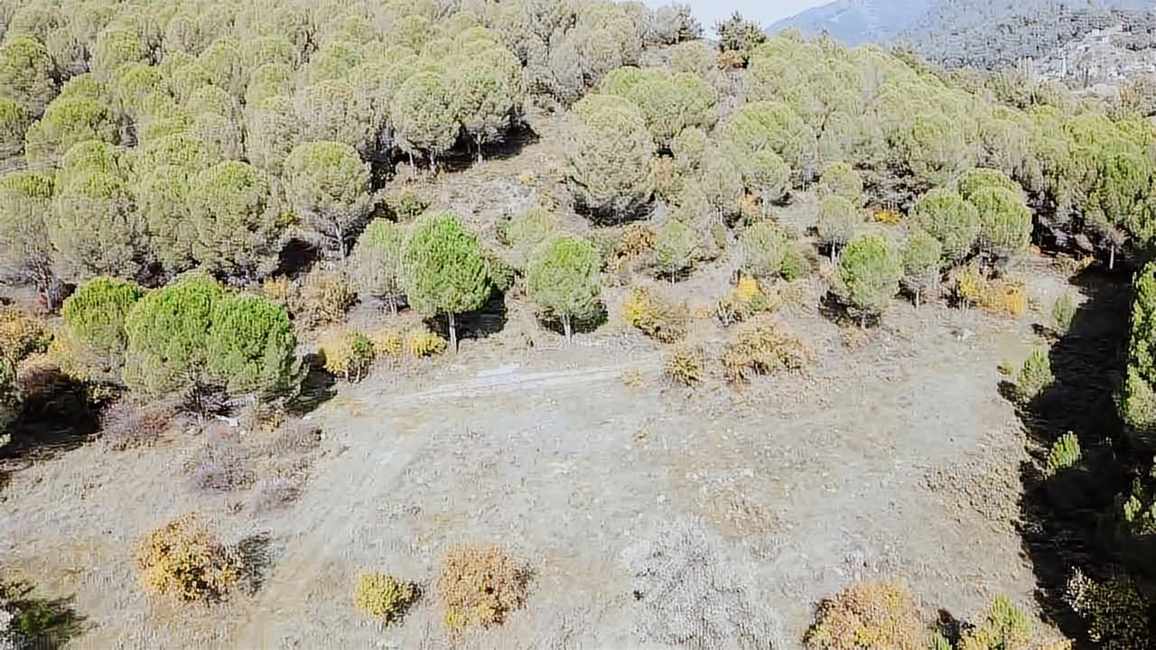 Satılık Arsa Bergama İncecikler - Görsel 7