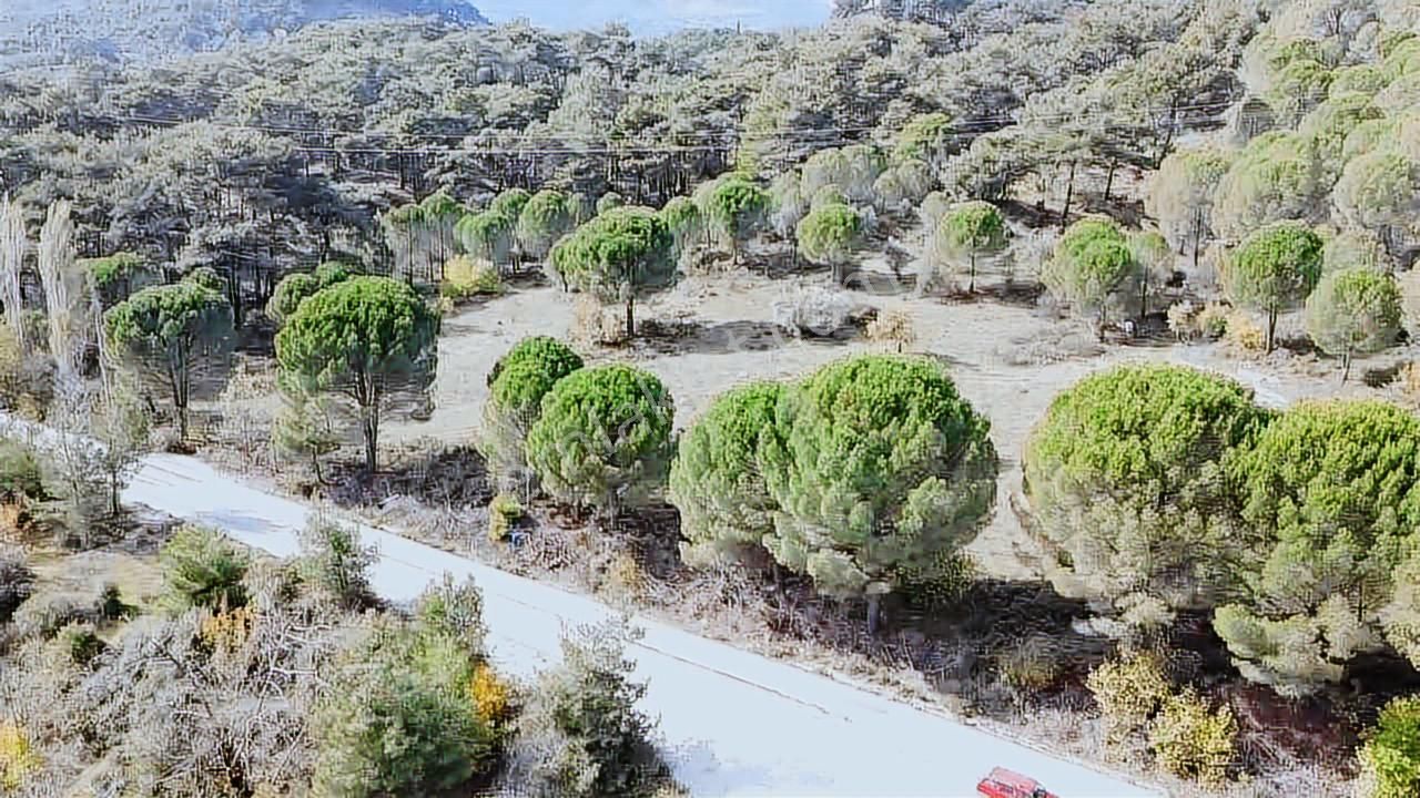 Satılık Arsa Bergama İncecikler - Görsel 10