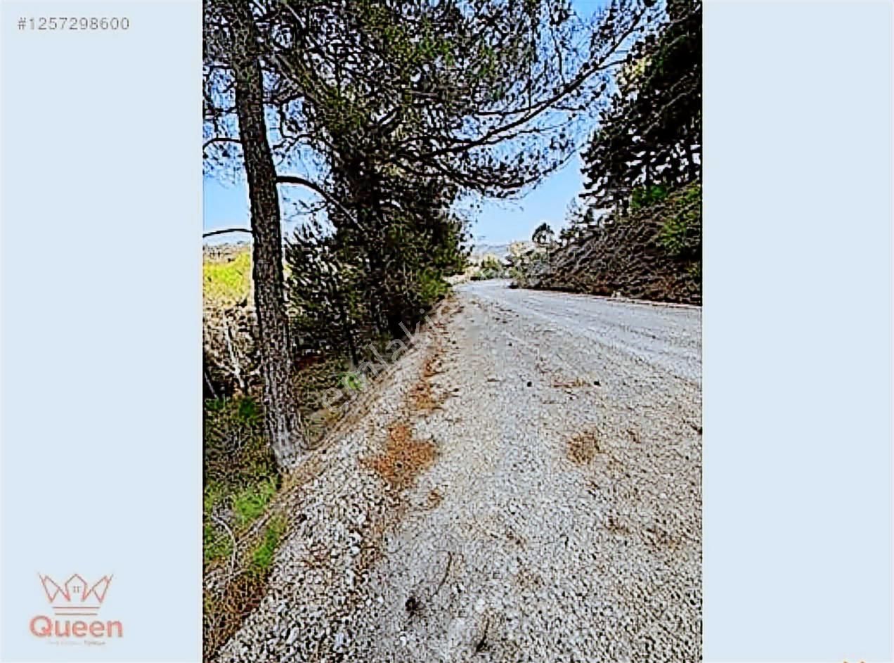 Bergamada Satılık Tarla - Görsel 4