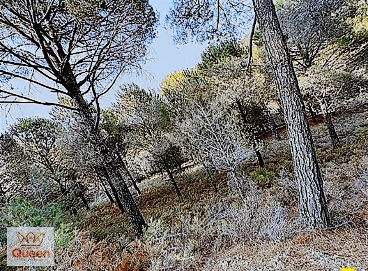 Bergamada Satılık Tarla - Görsel 6