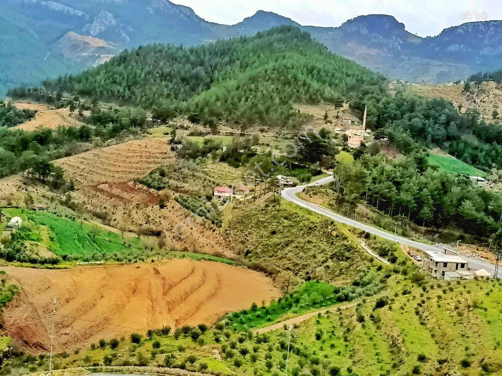 Alanya Fakırcalı Da Satılık 4500 M2 Tarla - Görsel 8