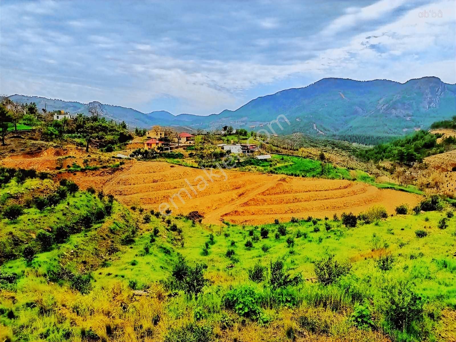 Alanya Fakırcalı Da Satılık 4500 M2 Tarla - Görsel 3