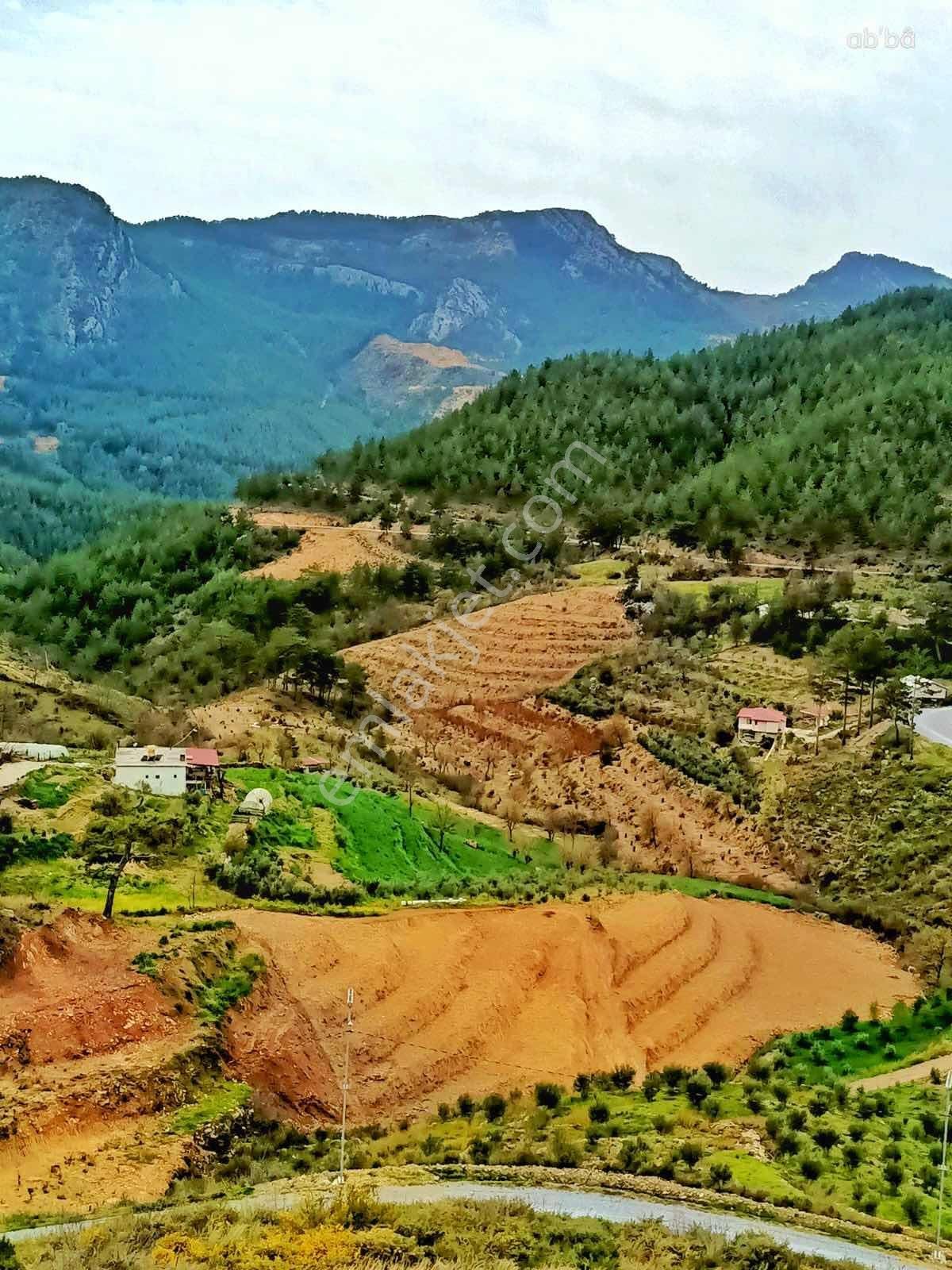 Alanya Fakırcalı Da Satılık 4500 M2 Tarla - Görsel 23