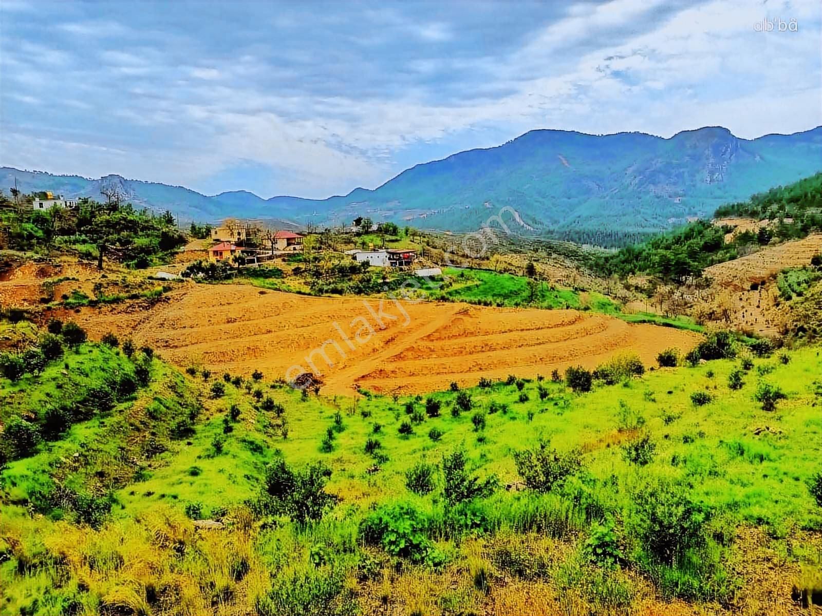 Alanya Fakırcalı Da Satılık 4500 M2 Tarla - Görsel 2