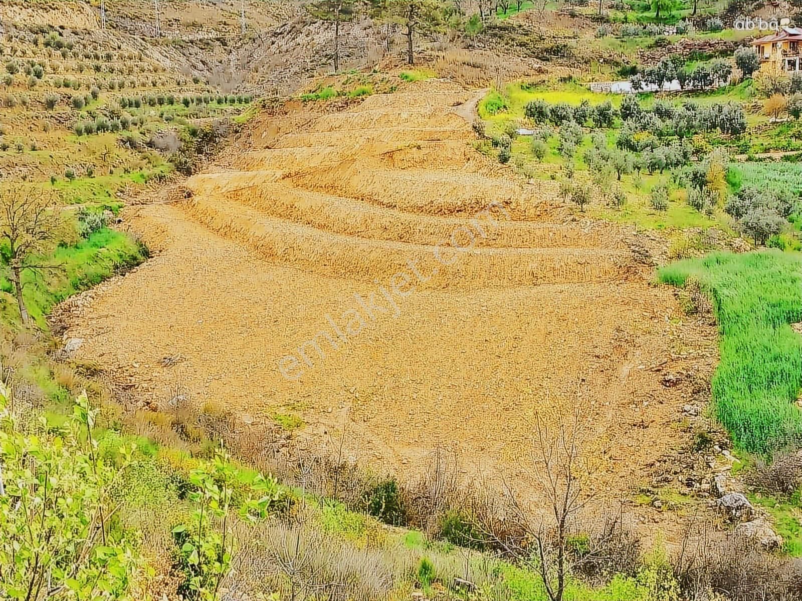 Alanya Fakırcalı Da Satılık 4500 M2 Tarla - Görsel 6
