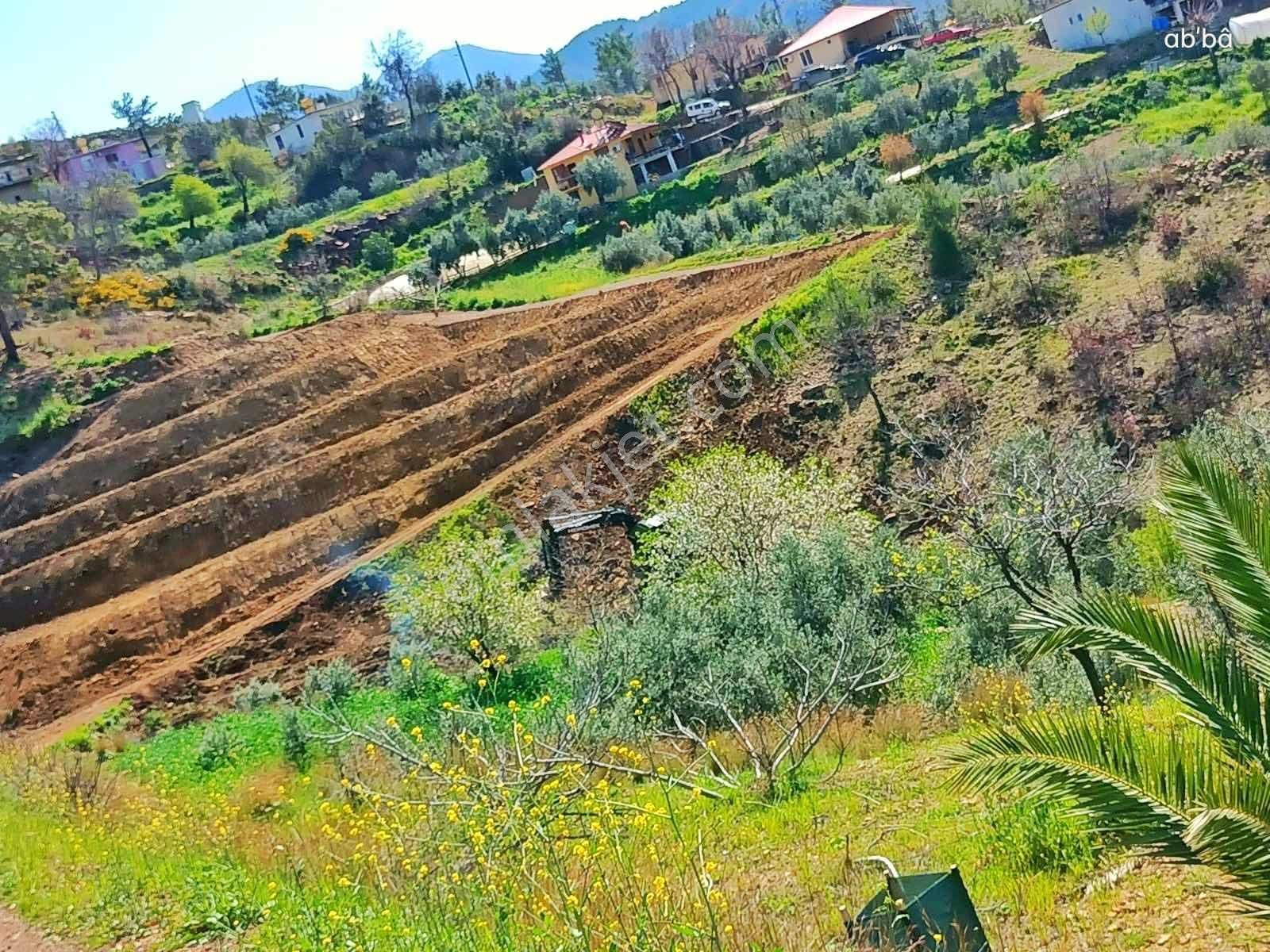 Alanya Fakırcalı Da Satılık 4500 M2 Tarla - Görsel 19