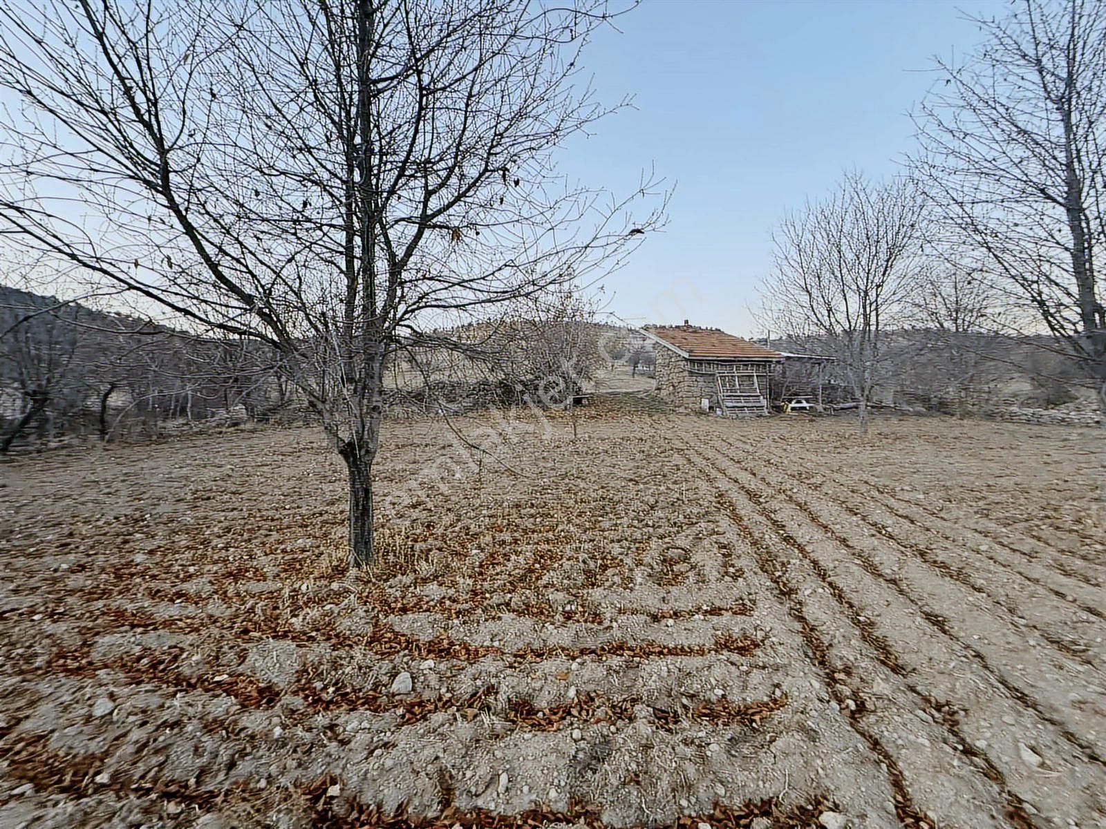 Aftonkarahisar Büyük Kalecık Kocatepe De Satılık Arazi - Görsel 9