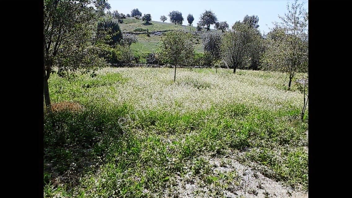 Aftonkarahisar Büyük Kalecık Kocatepe De Satılık Arazi - Görsel 19