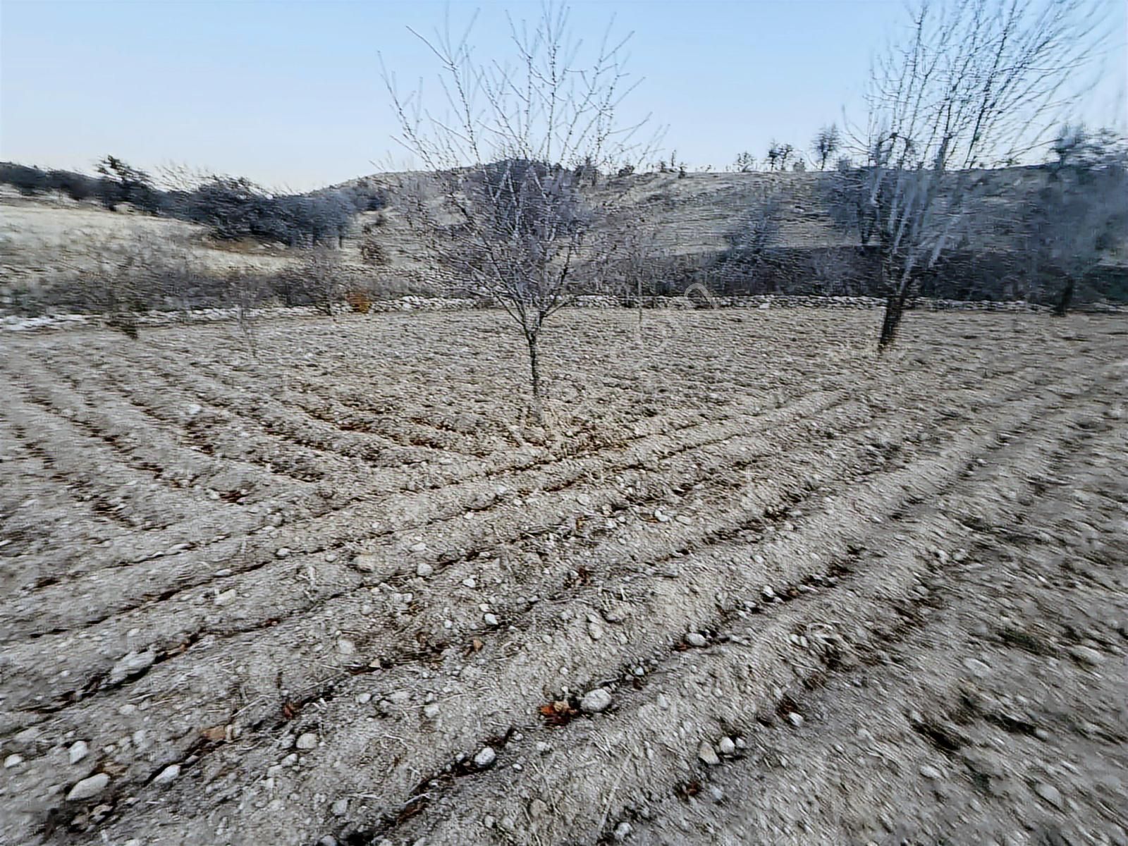 Aftonkarahisar Büyük Kalecık Kocatepe De Satılık Arazi - Görsel 31