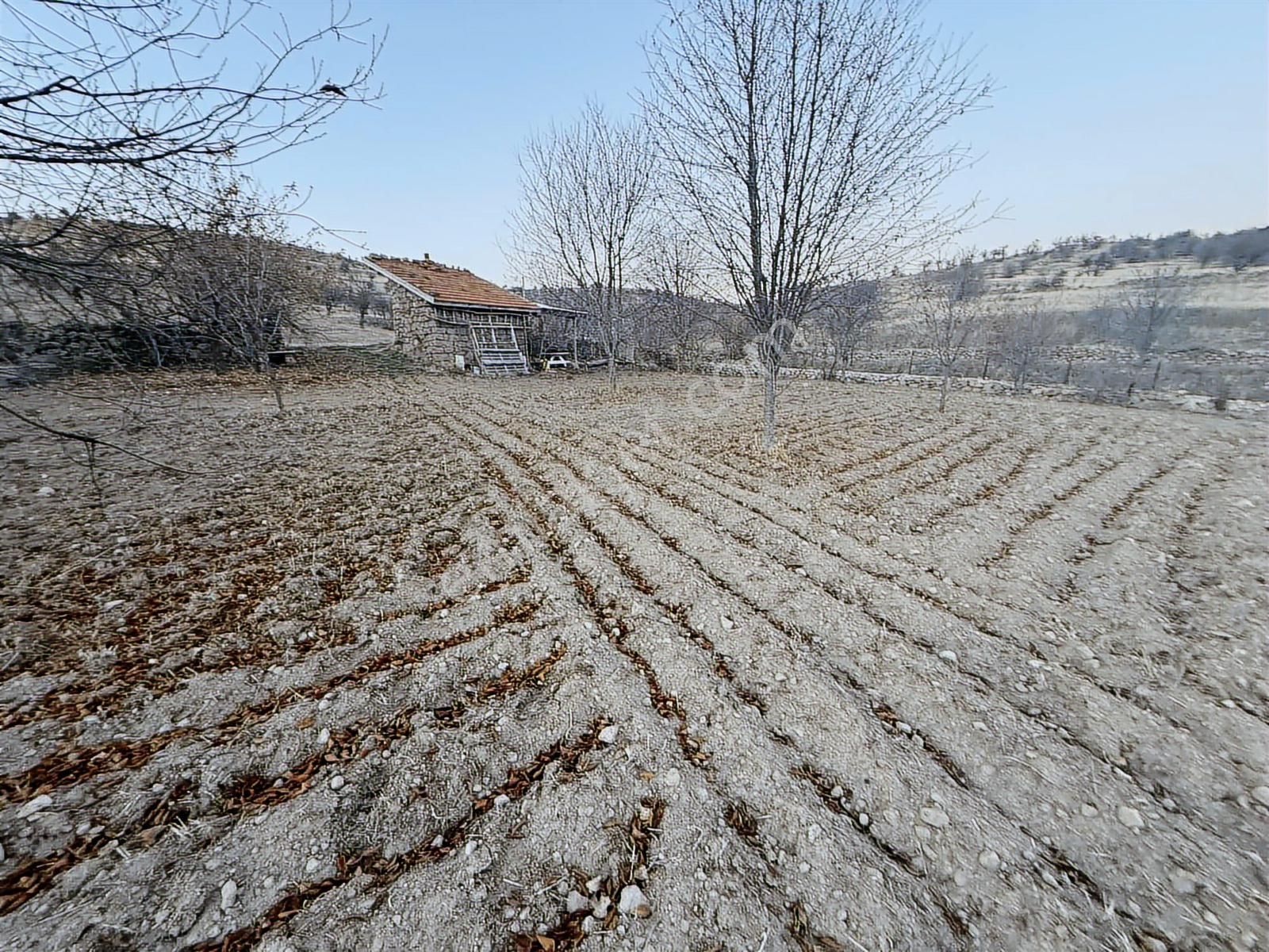 Aftonkarahisar Büyük Kalecık Kocatepe De Satılık Arazi - Görsel 5