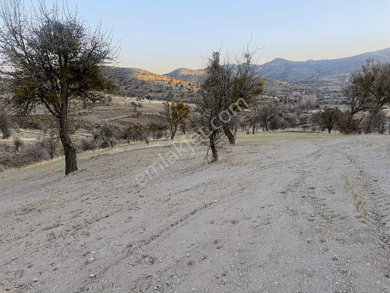 Aftonkarahisar Büyük Kalecık Kocatepe De Satılık Arazi - Görsel 16