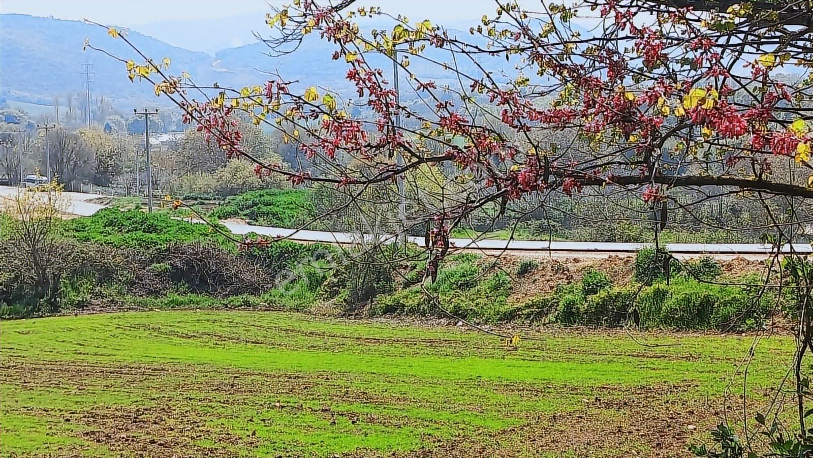 Akçalar'da Satılık Tarla