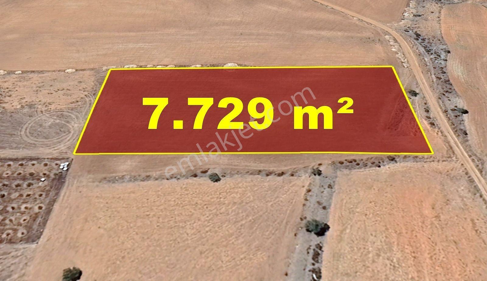 Karaman / Kazımkarabekir / Pazar Mahallesinde 7.729 M² Müstakil Tapulu Tarla - Görsel 5
