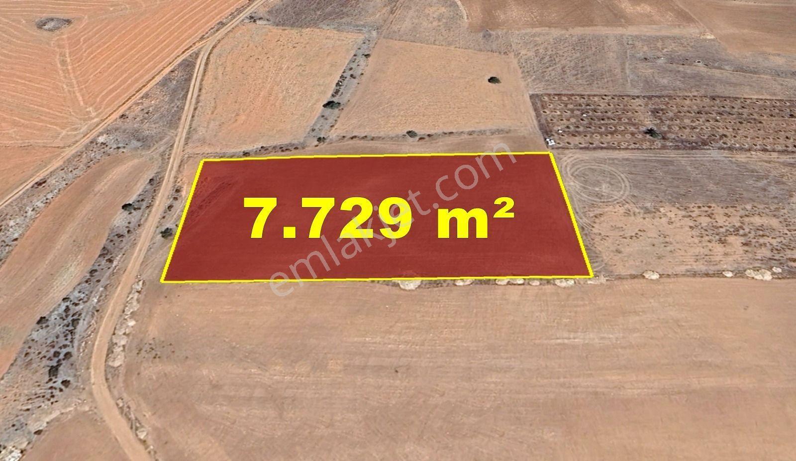 Karaman / Kazımkarabekir / Pazar Mahallesinde 7.729 M² Müstakil Tapulu Tarla - Görsel 7