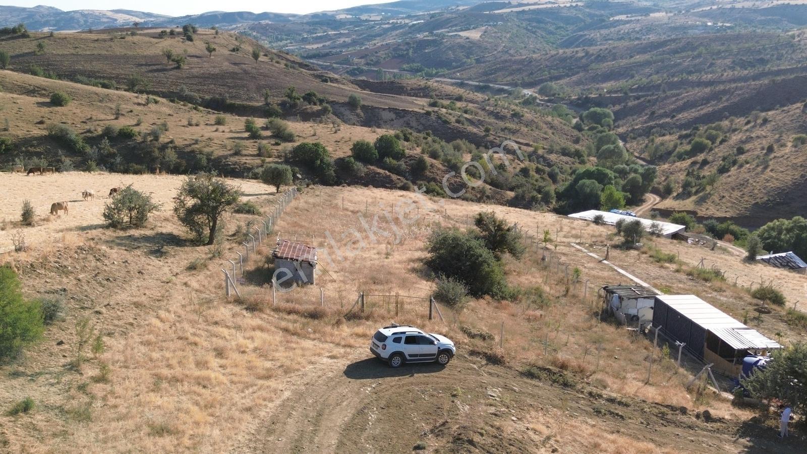 HAN'DAN İMARSIZ TAPULU BÜYÜK YER ARAYANLARA 1534 M2 TELLİ TARLA - Görünüm 4