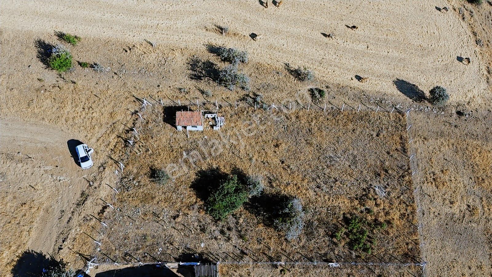 Han'dan İmarsız Tapulu Büyük Yer Arayanlara 1534 M2 Telli Tarla - Görsel 20