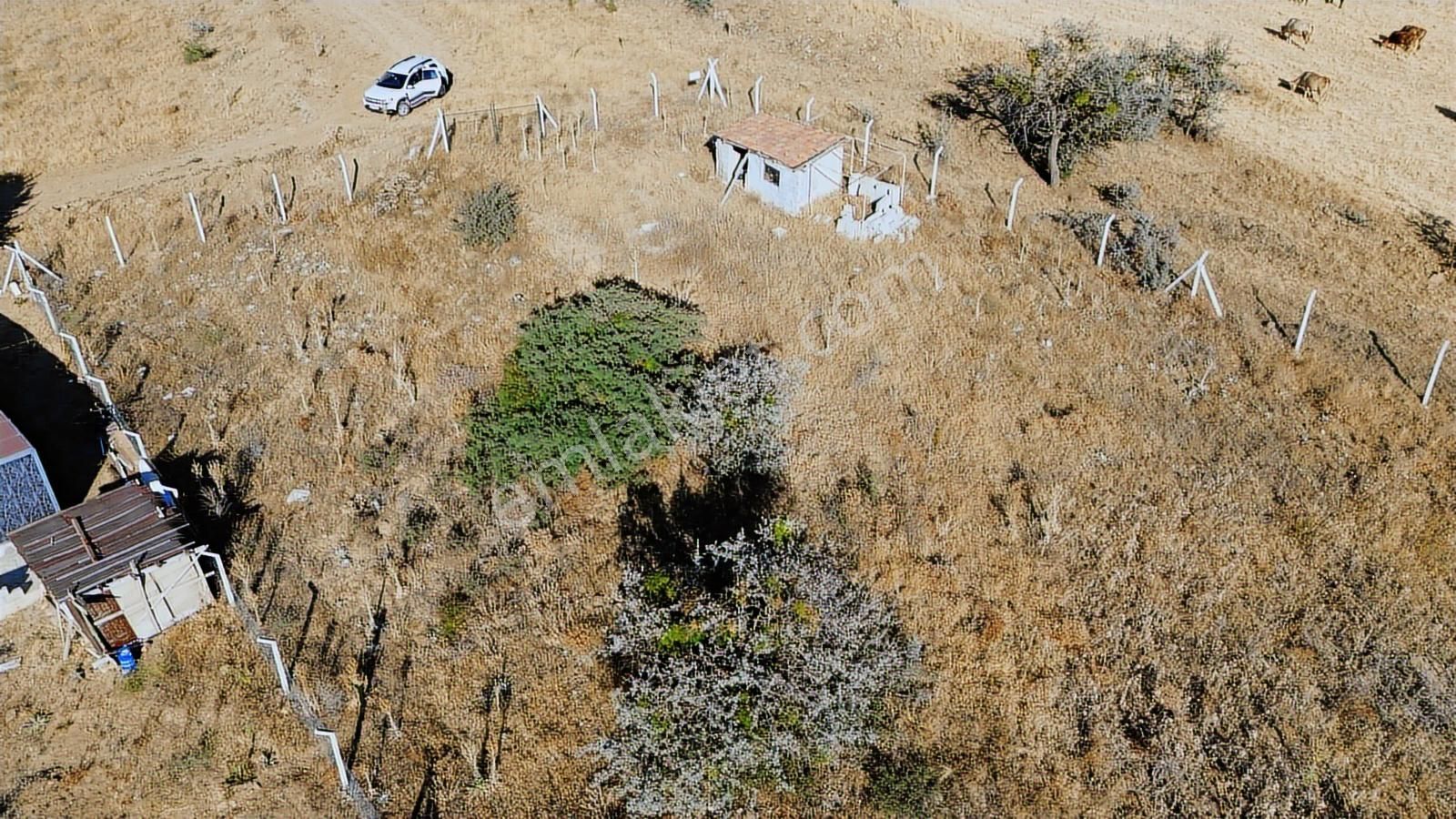 Han'dan İmarsız Tapulu Büyük Yer Arayanlara 1534 M2 Telli Tarla - Görsel 17
