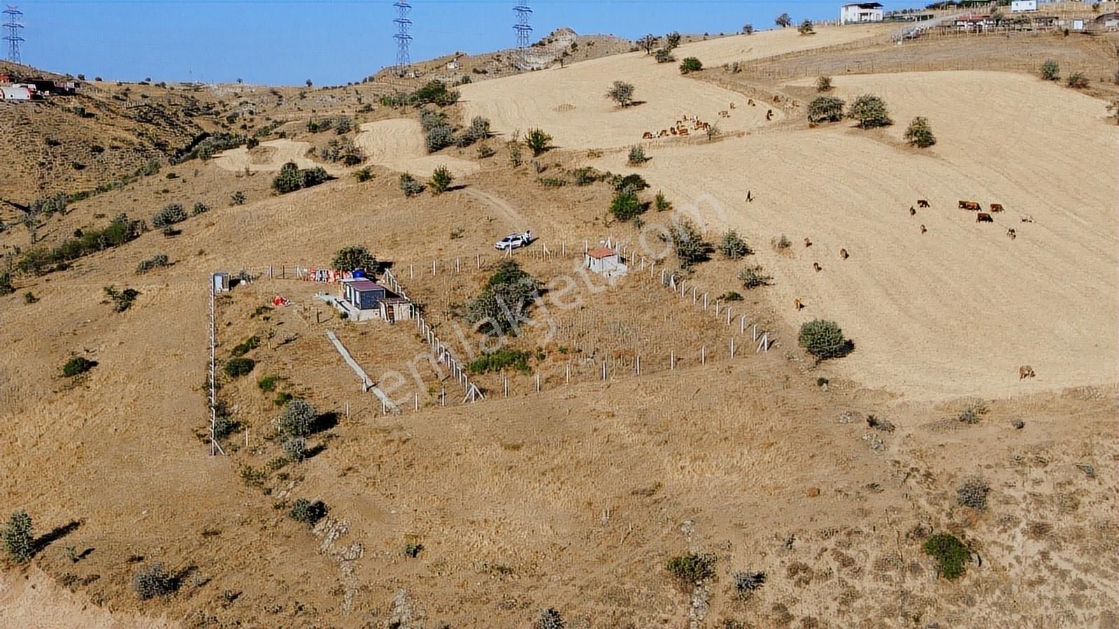 Han'dan İmarsız Tapulu Büyük Yer Arayanlara 1534 M2 Telli Tarla - Görsel 3