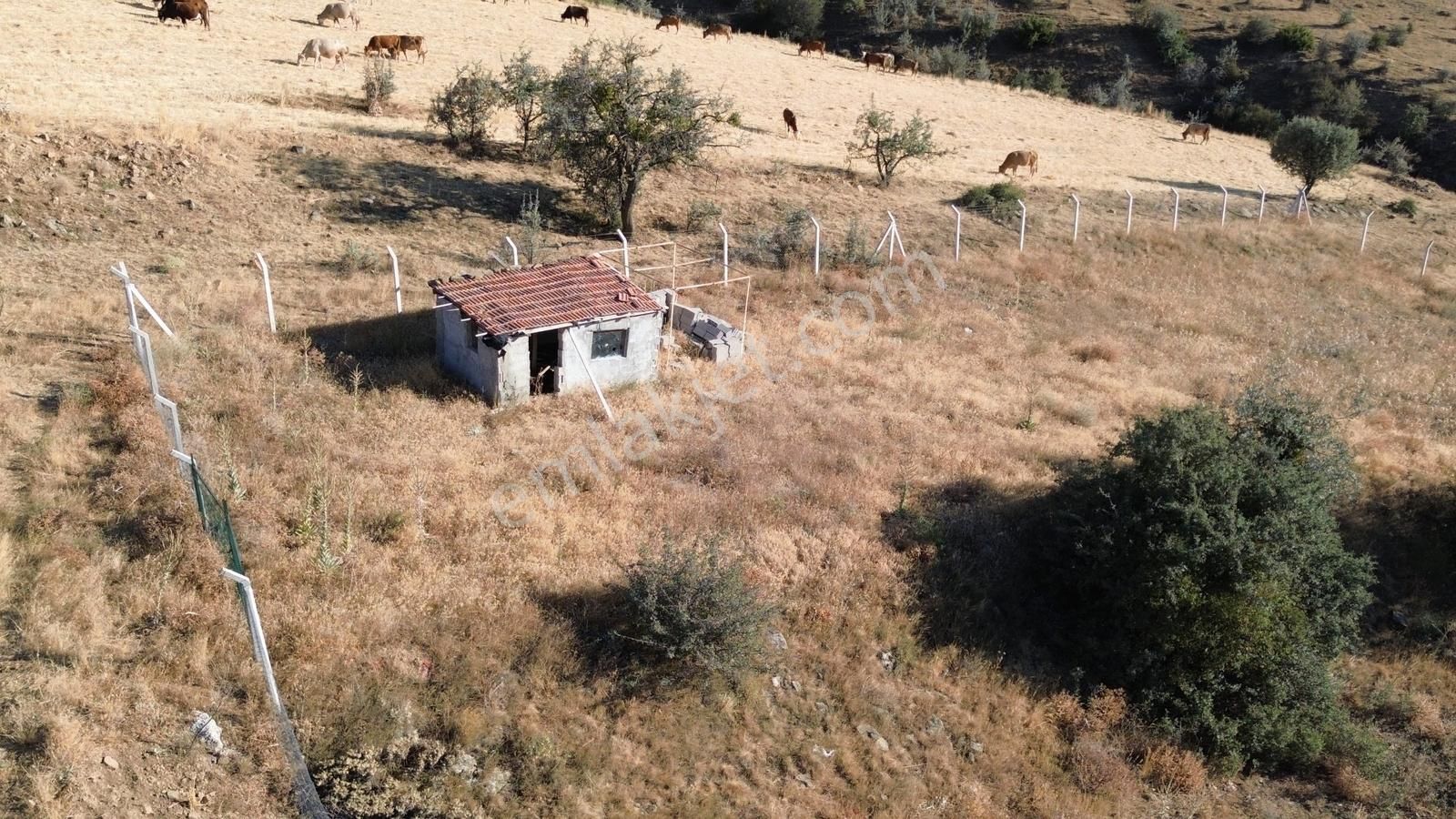 Han'dan İmarsız Tapulu Büyük Yer Arayanlara 1534 M2 Telli Tarla - Görsel 10