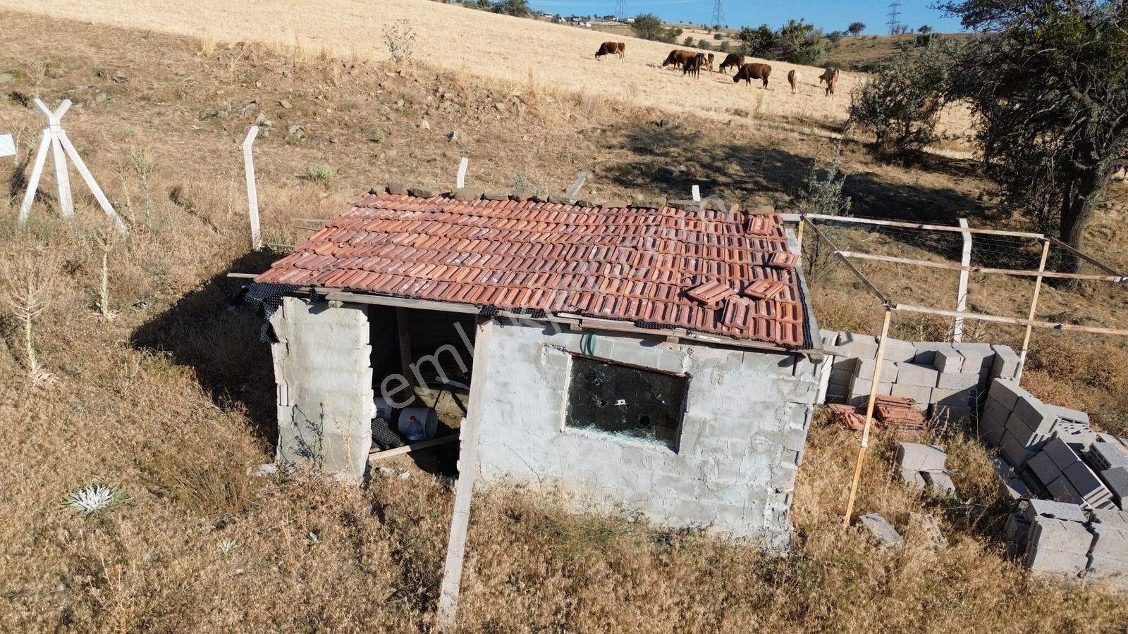 Han'dan İmarsız Tapulu Büyük Yer Arayanlara 1534 M2 Telli Tarla - Görsel 18