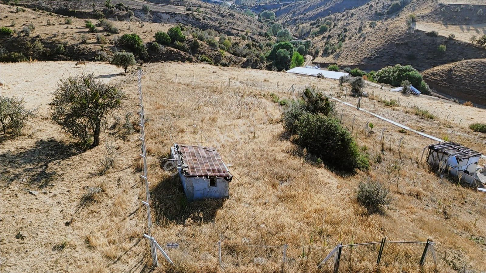 Han'dan İmarsız Tapulu Büyük Yer Arayanlara 1534 M2 Telli Tarla - Görsel 19