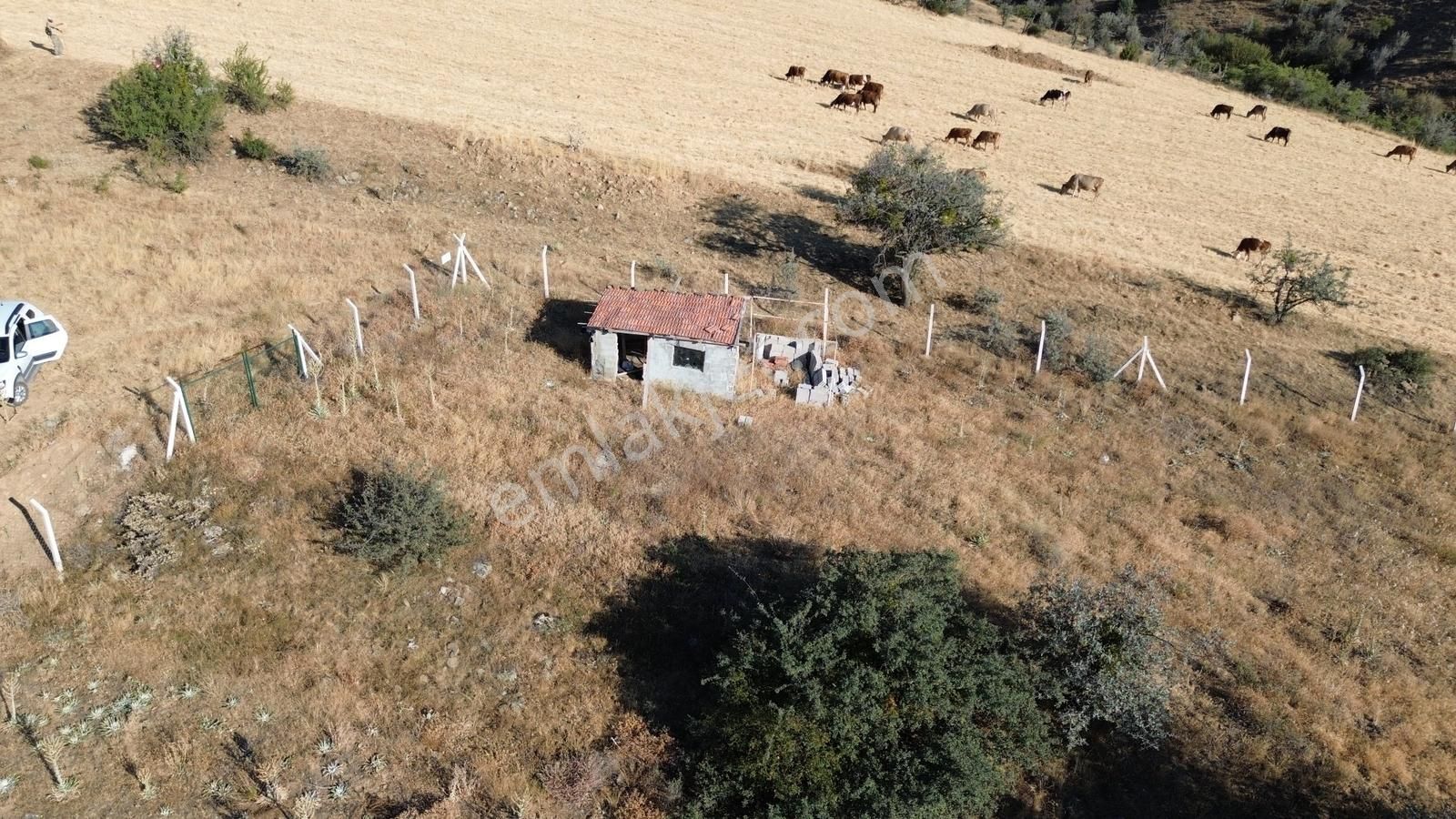 Han'dan İmarsız Tapulu Büyük Yer Arayanlara 1534 M2 Telli Tarla - Görsel 11