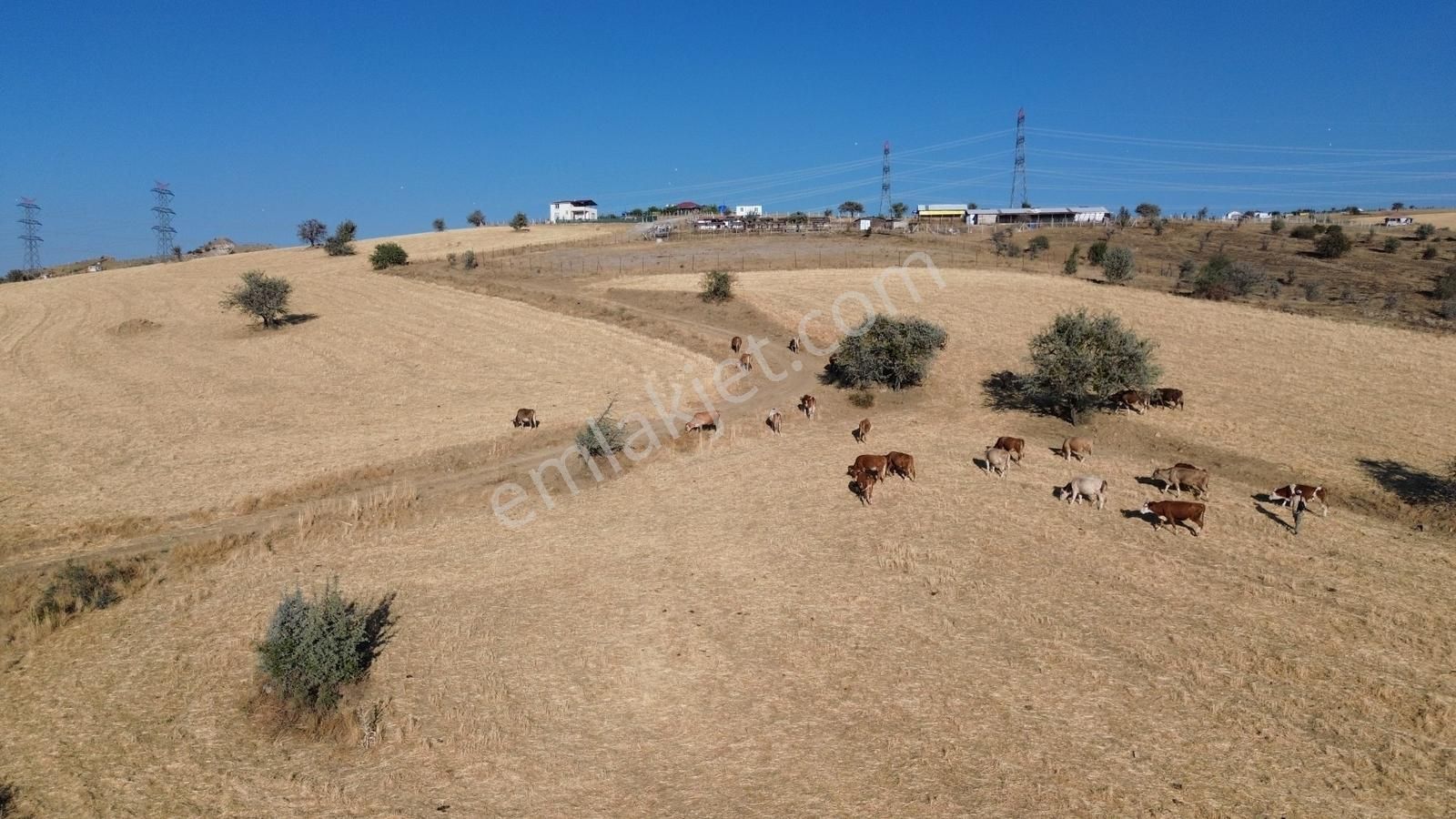 Han'dan İmarsız Tapulu Büyük Yer Arayanlara 1534 M2 Telli Tarla - Görsel 29