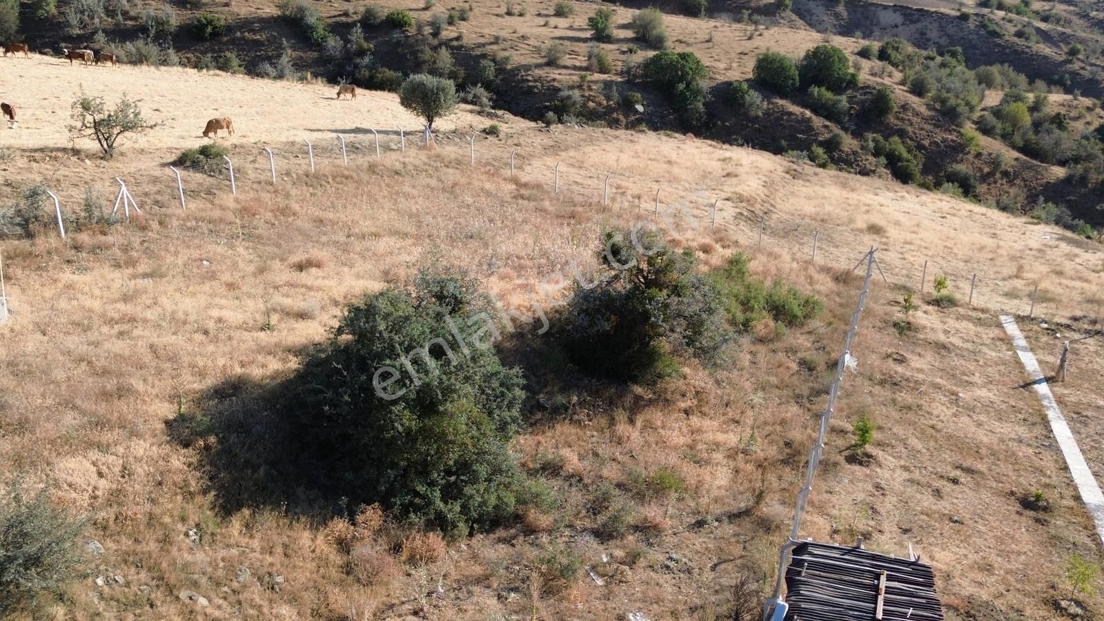 Han'dan İmarsız Tapulu Büyük Yer Arayanlara 1534 M2 Telli Tarla - Görsel 28