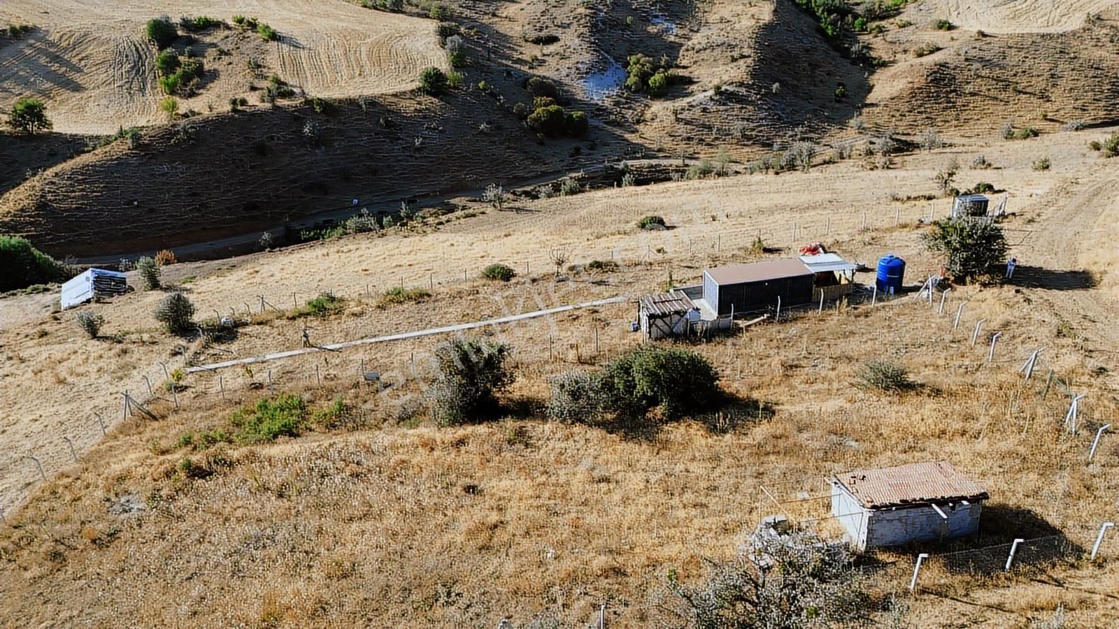 Han'dan İmarsız Tapulu Büyük Yer Arayanlara 1534 M2 Telli Tarla - Görsel 24