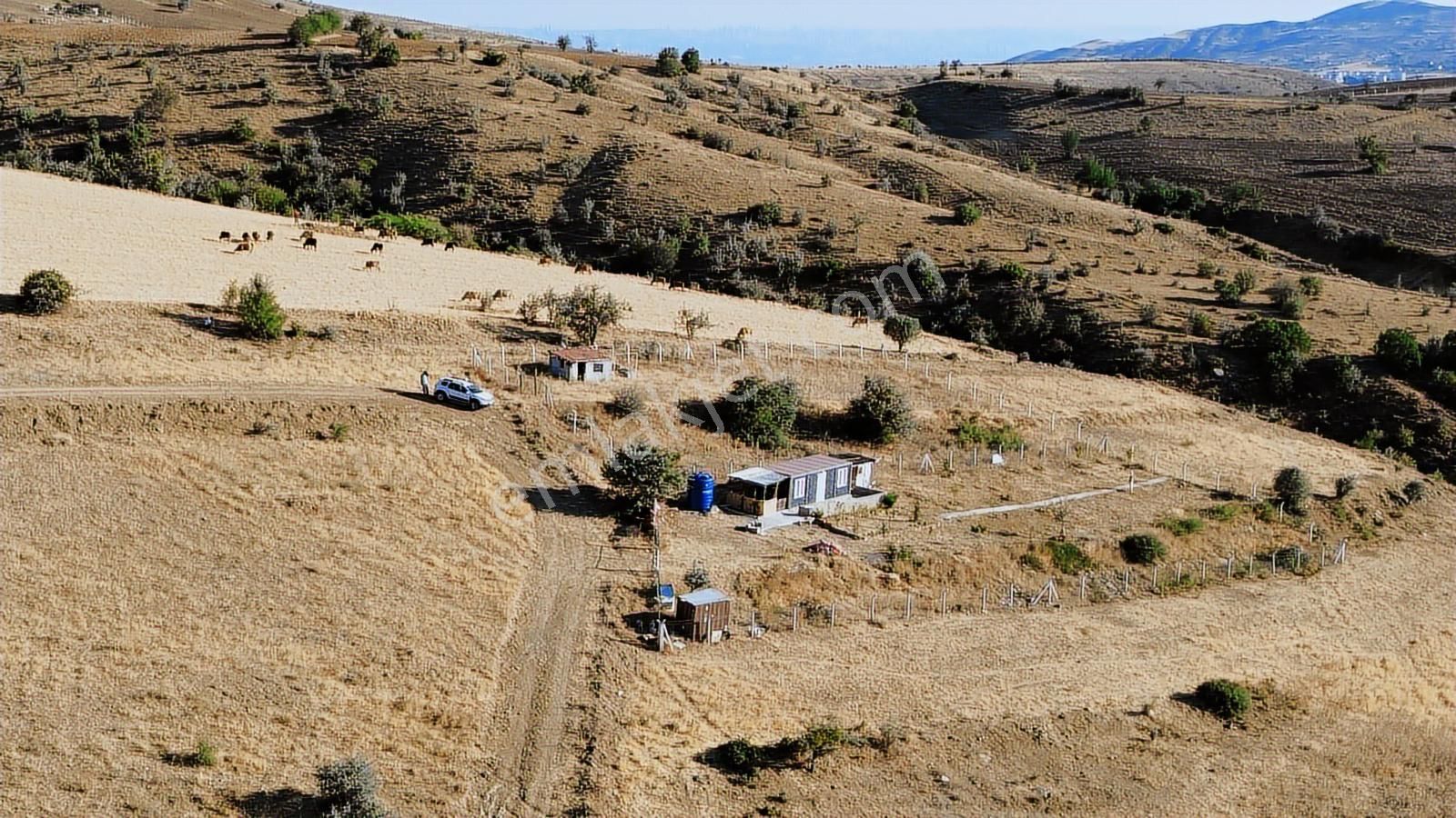 Han'dan İmarsız Tapulu Büyük Yer Arayanlara 1534 M2 Telli Tarla - Görsel 25