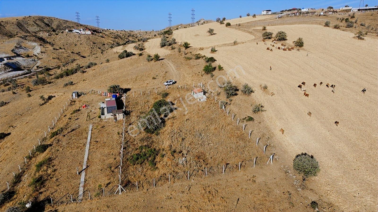 HAN'DAN İMARSIZ TAPULU BÜYÜK YER ARAYANLARA 1534 M2 TELLİ TARLA - Görünüm 3