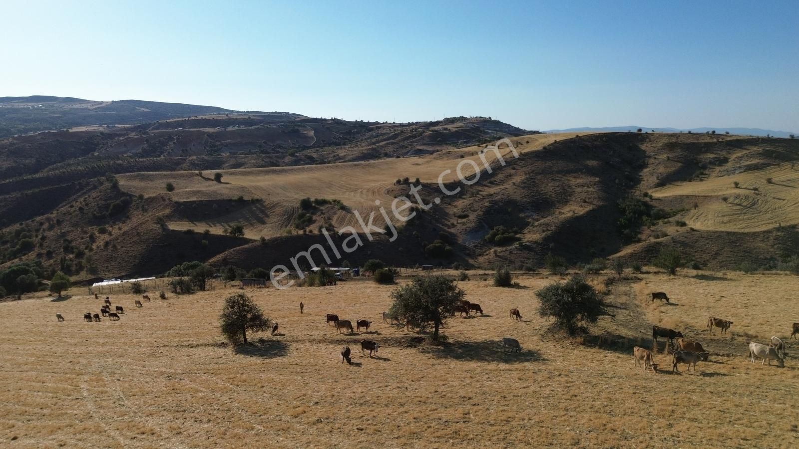 Han'dan İmarsız Tapulu Büyük Yer Arayanlara 1534 M2 Telli Tarla - Görsel 34