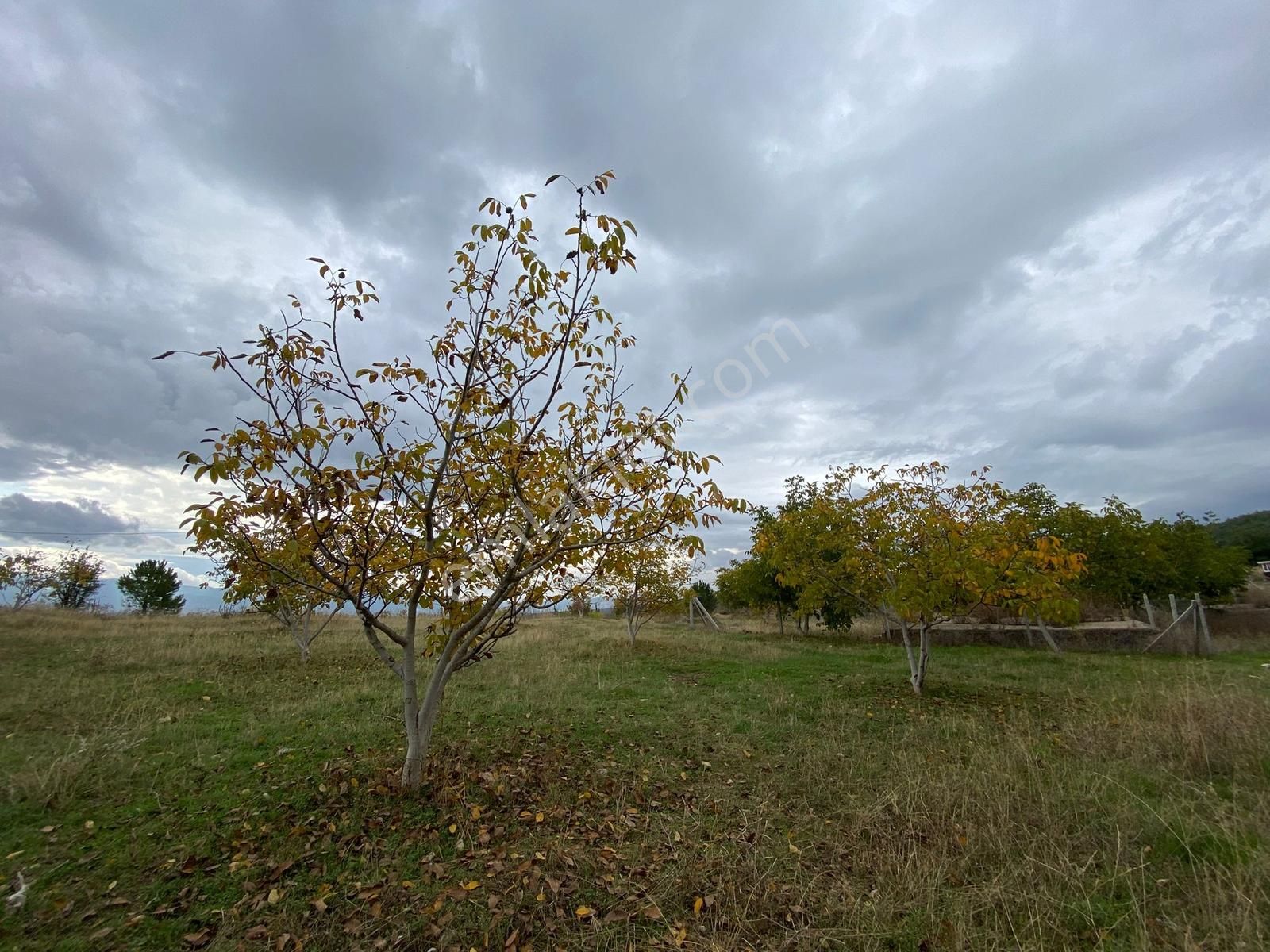 Turyap Bornova'dan Yakaköy'de Güzel Konumda Satılık 350 M2 Tarla - Görsel 6