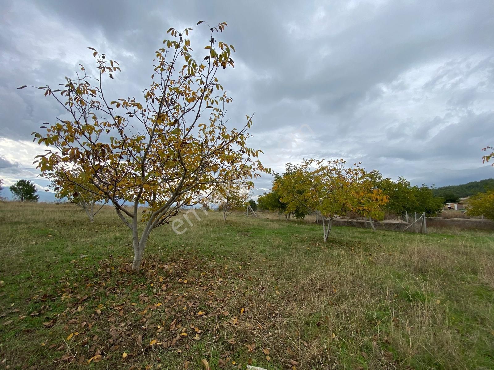 Turyap Bornova'dan Yakaköy'de Güzel Konumda Satılık 350 M2 Tarla - Görsel 7